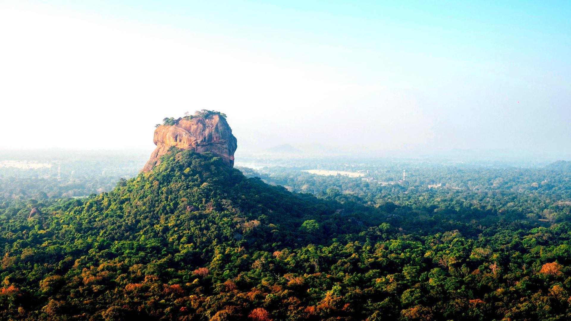 Sigiriya rock fortress rising out of dense forest in central Sri Lanka, seen at dawn from the summit of neighbouring Pidurangala rock