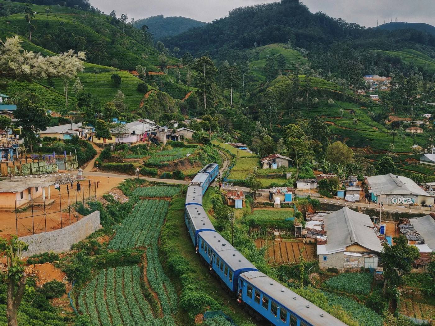 A blue Sri Lankan train winding through tea plantations and hillside houses near Nanuoya on the Kandy–Ella line
